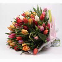 Bouquet Tulips!