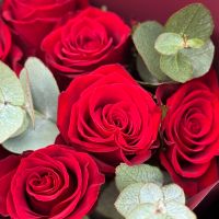 eucalyptus, rose (11 pcs.), packaging, ribbon