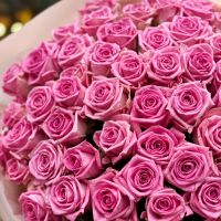 pink rose (101 pcs.), packaging, ribbon