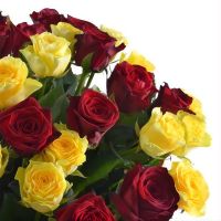 Bouquet 51 roses Renaissance