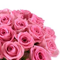 pink rose (25 pcs.), packaging, ribbon