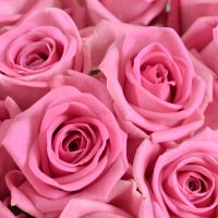 pink rose (25 pcs.), packaging, ribbon
