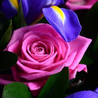 Bouquet Calypso