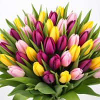 Bouquet Tulips by the piece