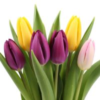 Bouquet Tulips by the piece