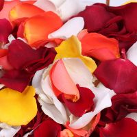 Bouquet Multi-colored rose petals