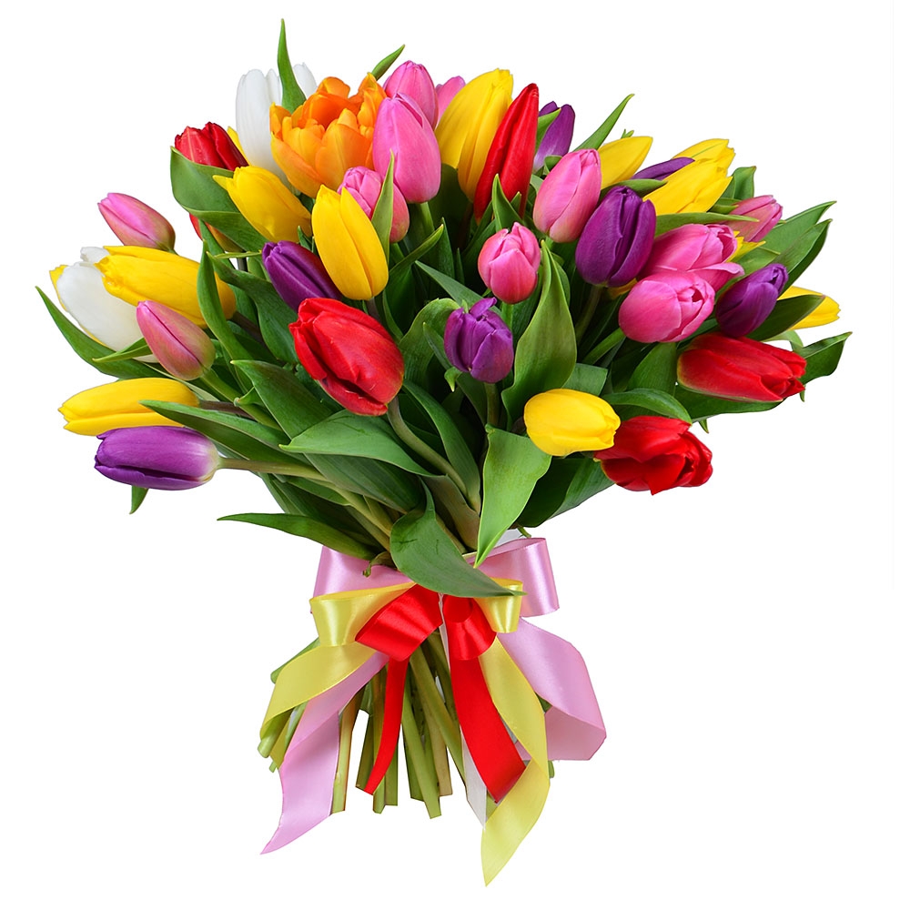 Buy 51 colorful tulip  with delivery