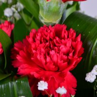 Bouquet Eternal Peace