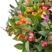 Bouquet You one in a million