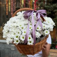 greens, basket m, oasis, white spray chrysanthemum (25 pcs.), packaging, ribbon