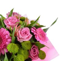 gerbera, chrysanthemum, rose, alstroemeria, packaging, ribbon