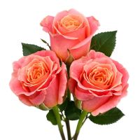Bouquet Coral roses per number