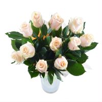 cream rose (11 pcs.), packaging, ribbon