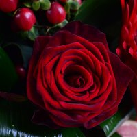 Order the bouquet in our online shop. Delivery!
