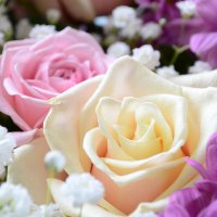 Order the bouquet in our online shop. Delivery!