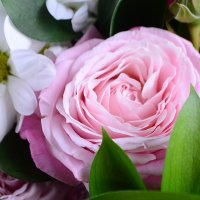 Order the bouquet in our online shop. Delivery!