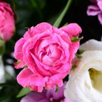Pink bouquet of roses - fast worldwide shipping
