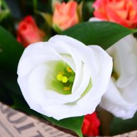 Order the bouquet in our online shop. Delivery!