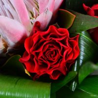 Bouquet Solemn