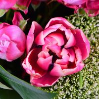 Order wonderful bouquet with delivery