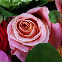 Order the bouquet in our online shop. Delivery!