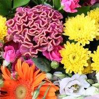 Bouquet Bright Mix of 25 Flowers