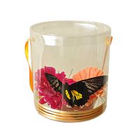 Product Live Butterfly in Box with Flowers