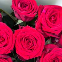 rose (11 pcs.), packaging, ribbon