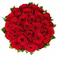 rose (31 pcs.), oasis, box, packaging, ribbon