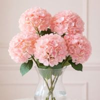 Bouquet Pink hydrangea by piece