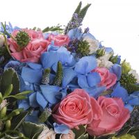 hydrangea, spray rose (8 pcs.), light eustoma, eucalyptus, coral rose (11 pcs.), Veronica (11 pcs.), round box, oasis, packaging, ribbon