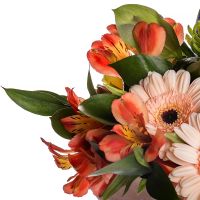 gerbera, chrysanthemum, rose (5 pcs.), alstroemeria, packaging, ribbon