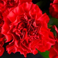 Bouquet Funeral bouquet of carnations
