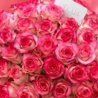 jumilia rose (51 pcs.), packaging, ribbon