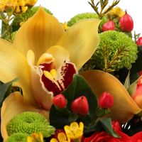 chrysanthemum, chamelacium, spray rose (2 pcs.), hypericum (2 pcs.), oasis, cymbidium, box, packaging, ribbon