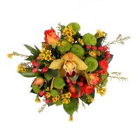 chrysanthemum, chamelacium, spray rose (2 pcs.), hypericum (2 pcs.), oasis, cymbidium, box, packaging, ribbon