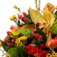 chrysanthemum, chamelacium, spray rose (2 pcs.), hypericum (2 pcs.), oasis, cymbidium, box, packaging, ribbon