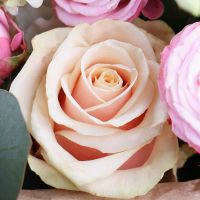 hydrangea, ornithogalum, white eustoma, eucalyptus, pink spray roses (4 pcs.), cream rose, packaging, ribbon