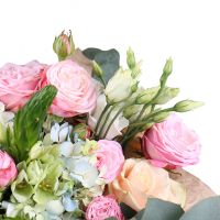 hydrangea, ornithogalum, white eustoma, eucalyptus, pink spray roses (4 pcs.), cream rose, packaging, ribbon