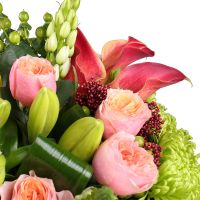 anthurium, calla lily, vuvuzela rose (7 pcs.), ornithogalum, lily, carnation, skimmia, packaging, ribbon