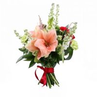 peony, astilbe, mathiola (7 pcs.), ornithogalum, skimmia, aspidistra (7 pcs.), spray rose, packaging, ribbon