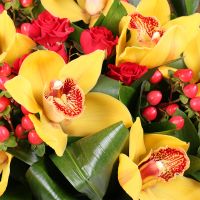 hypericum, bush rose, aspidistra, cymbidium, packaging, tape