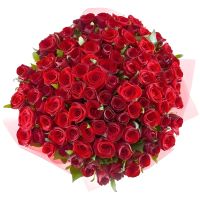 rose (101 pcs.), packaging, ribbon