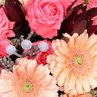 brunia, carnation, leucodendron, oasis, large round box, orange spray rose (3 pcs.), cream gerbera, packaging, ribbon