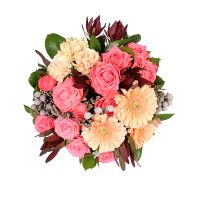 brunia, carnation, leucodendron, oasis, large round box, orange spray rose (3 pcs.), cream gerbera, packaging, ribbon