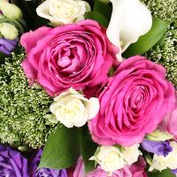 callas, pink hypericum, white bush rose, lavender bush rose, oasis, white trachelium, packaging, ribbon