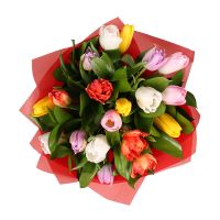 Bouquet 19 multi-colored tulips