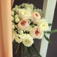 David Austin rose (13 pcs.), packaging, ribbon