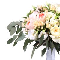 David Austin rose (13 pcs.), packaging, ribbon
