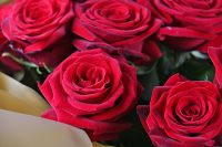 Bouquet 21 roses Krivoy Rog